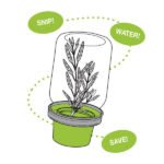 Herb Saver, Wide Mouth Mason Jars