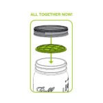 Flower Frog, Wide Mouth Mason Jars