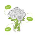 Flower Frog, Wide Mouth Mason Jars