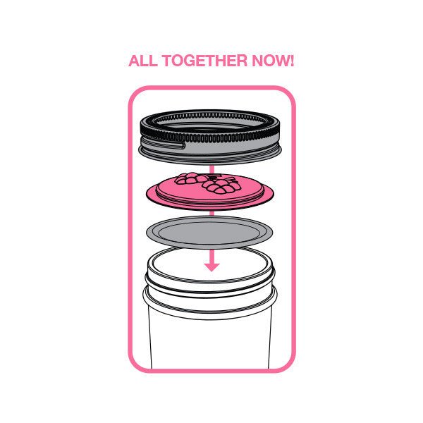 4-Pack Jelly/Jam Lids, Regular Mouth Mason Jars