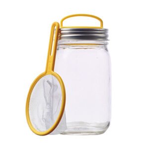 Firefly Kit, Regular Mouth Mason Jars
