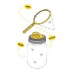 Firefly Kit, Regular Mouth Mason Jars