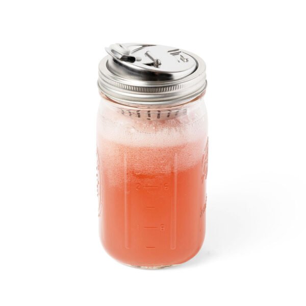 Stainless Steel 2-in-1 Drink and Fruit Infusion Lid, Wide Mouth Mason Jars