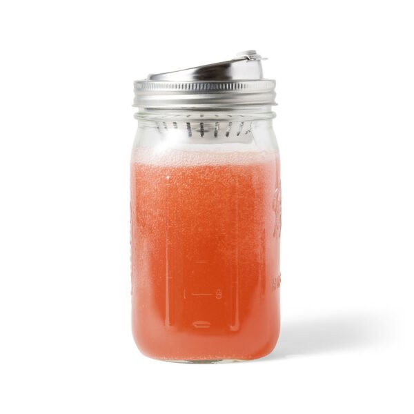 Stainless Steel 2-in-1 Drink and Fruit Infusion Lid, Wide Mouth Mason Jars