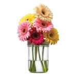 Flower Frog, Wide Mouth Mason Jars