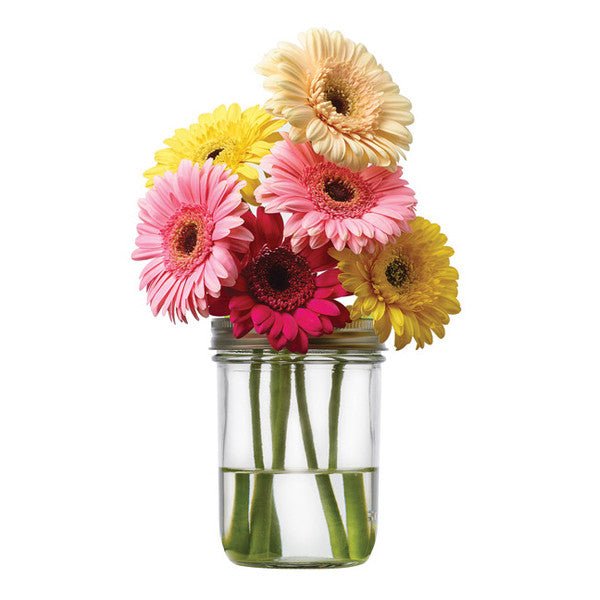 Flower Frog, Wide Mouth Mason Jars